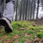 Wanderer im Naturpark Arnsberger Wald