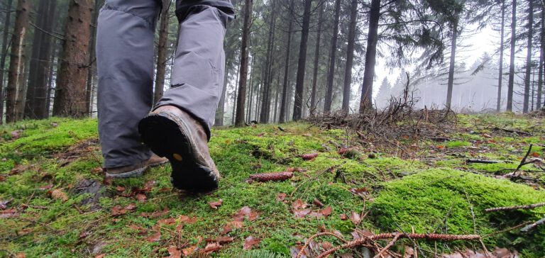 Wanderer im Naturpark Arnsberger Wald