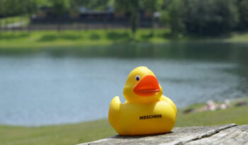 Eine kleine Plastikente mit Aufschrift Meschede am Ufer des Hennesees