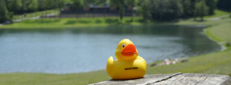 Eine kleine Plastikente mit Aufschrift Meschede am Ufer des Hennesees