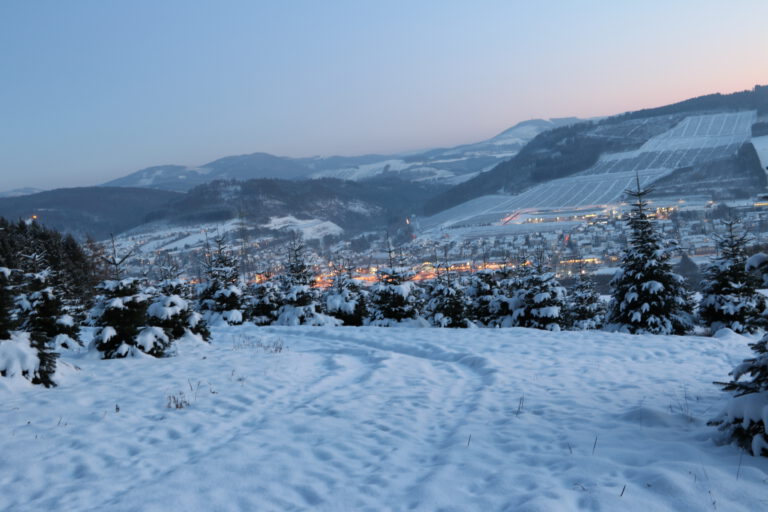 Blick auf Bestwig im Winter