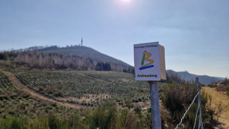 Wegezeichen Bestwiger BestWeg Andreasberg, im Bildhintergrund der Berg Stüppel mit dem Stüppelturm