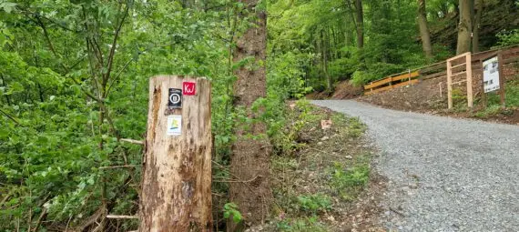 Wanderwegezeichen an einem Baumstumpf