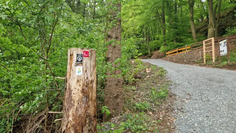 Wanderwegezeichen an einem Baumstumpf