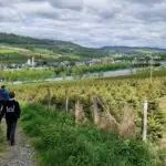 Wanderer auf dem Wanderweg BestWeg Velmede-Bestwig. Im Hintergrund sieht man die Ortschaft Bestwig.