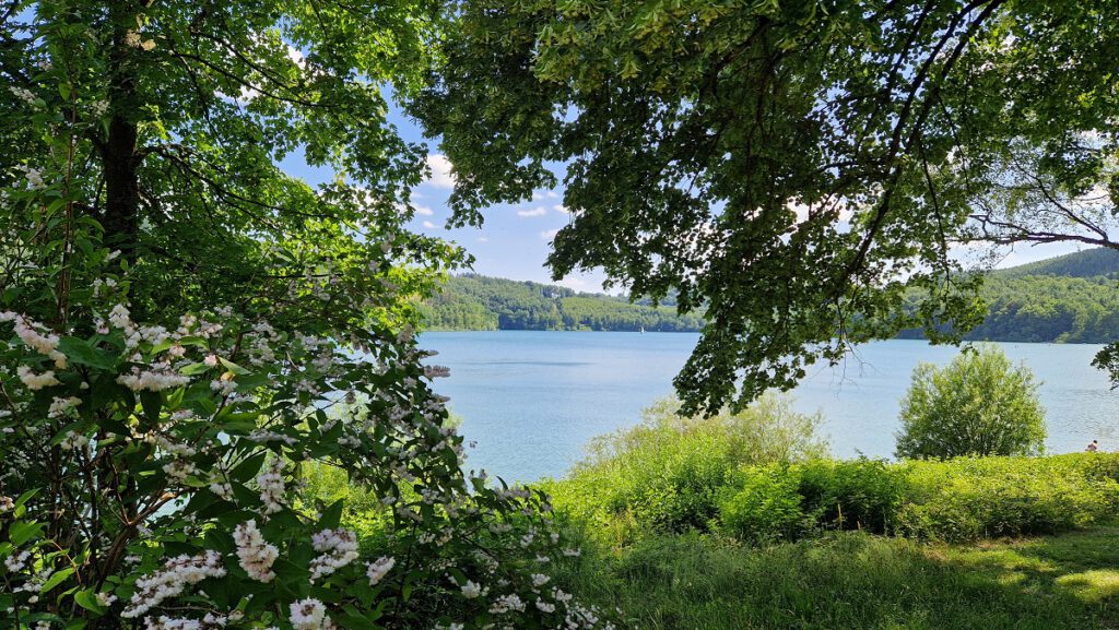 Ein Blick auf den Hennesee. Rundherum ist es grün und Zweige der Laubbäume rahmen den Blick auf den See ein.